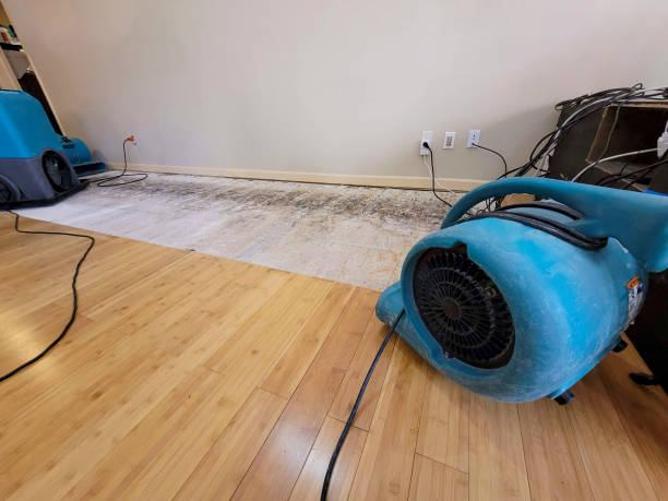 Professional Water Extraction technician working in Carbondale, KS